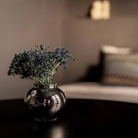 Apartment Belgem *